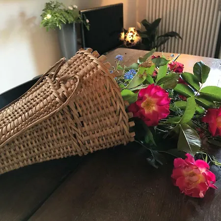 Appartement Il Gerlo Lezzeno